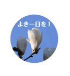 nanda birds hello my friends（個別スタンプ：9）