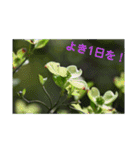 nanda birds hello my friends（個別スタンプ：13）