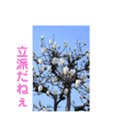 nanda birds hello my friends（個別スタンプ：18）