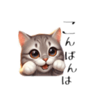 子猫（表の顔）（個別スタンプ：4）