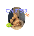 猫愛スタンプ⑨（個別スタンプ：5）