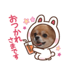 ミルくんとめめの日常使えるスタンプ（個別スタンプ：2）