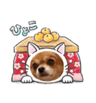 ミルくんとめめの日常使えるスタンプ（個別スタンプ：8）