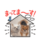 ミルくんとめめの日常使えるスタンプ（個別スタンプ：16）
