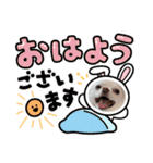 ミルくんとめめの日常使えるスタンプ（個別スタンプ：17）