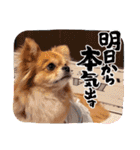 ミルくんとめめの日常使えるスタンプ（個別スタンプ：24）