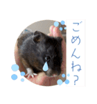 GABA！！！！（個別スタンプ：2）