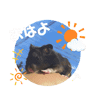GABA！！！！（個別スタンプ：3）