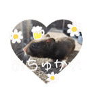 GABA！！！！（個別スタンプ：6）