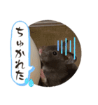 GABA！！！！（個別スタンプ：7）