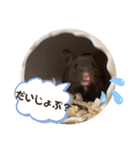 GABA！！！！（個別スタンプ：8）