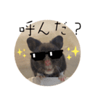 GABA！！！！（個別スタンプ：9）