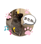 GABA！！！！（個別スタンプ：11）