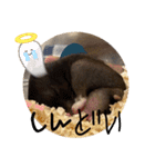 GABA！！！！（個別スタンプ：13）