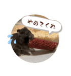 GABA！！！！（個別スタンプ：15）