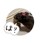 GABA！！！！（個別スタンプ：19）