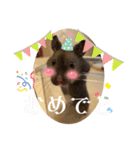 GABA！！！！（個別スタンプ：21）