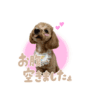 こむぎともなか！（個別スタンプ：4）