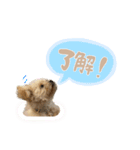 こむぎともなか！（個別スタンプ：9）