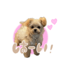 こむぎともなか！（個別スタンプ：14）