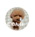 マカレアラキ（個別スタンプ：2）