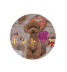 マカレアラキ（個別スタンプ：12）