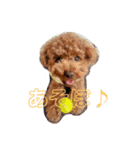 マカレアラキ（個別スタンプ：13）