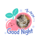 ぼたんスタンプ集（個別スタンプ：1）