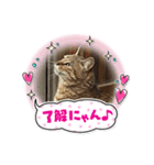 ぼたんスタンプ集（個別スタンプ：2）