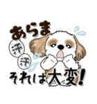 シーズー犬『ちょっと長文』色濃いめちゃん（個別スタンプ：25）