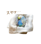 そらりん家のセキセイインコ（個別スタンプ：26）