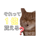 うちのにゃんこ様です（個別スタンプ：5）