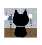 黒猫もちこ（個別スタンプ：16）