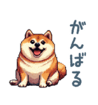 毎日使えるぽっちゃり柴犬【日常会話】（個別スタンプ：9）