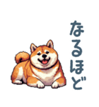 毎日使えるぽっちゃり柴犬【日常会話】（個別スタンプ：25）