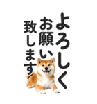 【デカ文字BIG】柴犬・写真の敬語スタンプ（個別スタンプ：6）