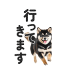 【デカ文字BIG】柴犬・写真の敬語スタンプ（個別スタンプ：9）