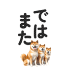 【デカ文字BIG】柴犬・写真の敬語スタンプ（個別スタンプ：39）