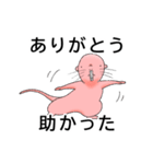 友達連絡用ハダカデバネズミ（個別スタンプ：5）