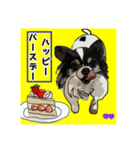 ペロちゃんと❷（個別スタンプ：1）