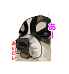ペロちゃんと❷（個別スタンプ：5）