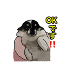 ペロちゃんと❷（個別スタンプ：6）