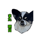 ペロちゃんと❷（個別スタンプ：7）