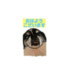 ペロちゃんと！！（個別スタンプ：5）