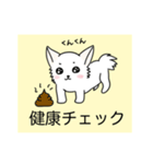 かわいい愛犬チワワ（個別スタンプ：3）