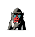 マンドリルマサ（Mandrill Masa）（個別スタンプ：24）