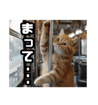 毎日使える⭐️猫ミーム⭐️（個別スタンプ：9）