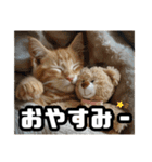 毎日使える⭐️猫ミーム⭐️（個別スタンプ：19）