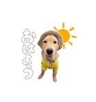 メルくんスタンプ♪（個別スタンプ：1）
