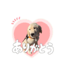 メルくんスタンプ♪（個別スタンプ：2）